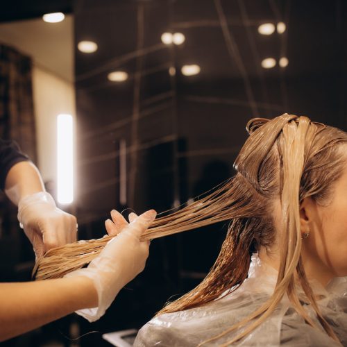hairdresser-coloring-hair-of-her-customer-2024-02-07-02-39-42-utc-2048×1365 hairdresser-coloring-hair-of-her-customer-2024-02-07-02-39-42-utc-2048x1365